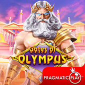 Cổng Olympus PP881 hot